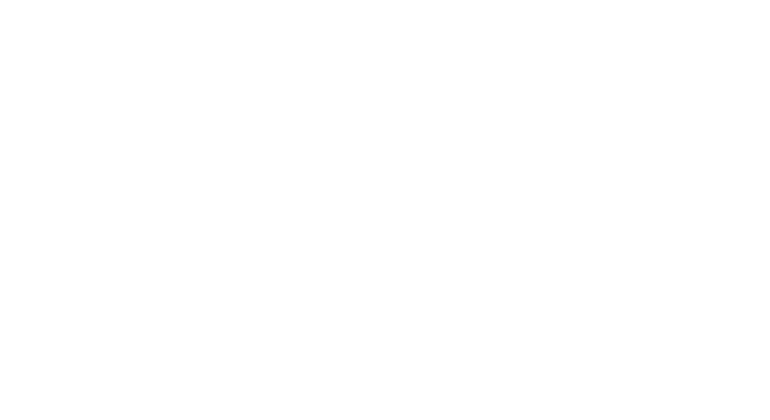 exzizt logo black